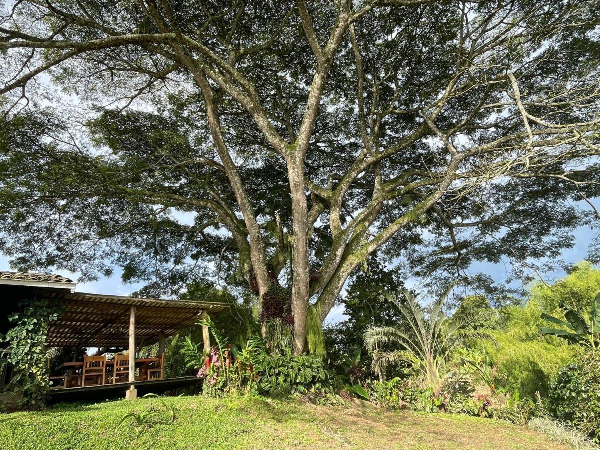Hotel Muchosur Quimbaya Extérieur photo