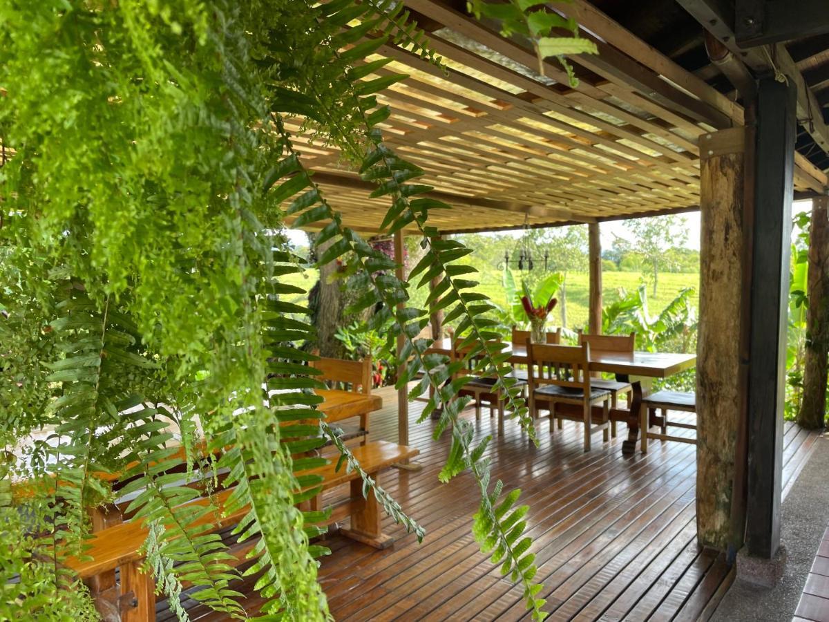 Hotel Muchosur Quimbaya Extérieur photo